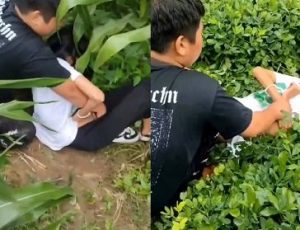 Hiếp dâm ngoài đồng bạn học